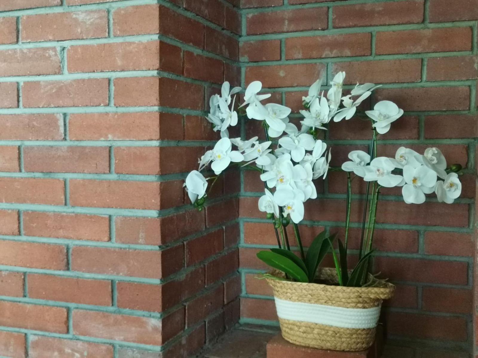 Dio Vendeghaz Hotel Прайд Екстериор снимка